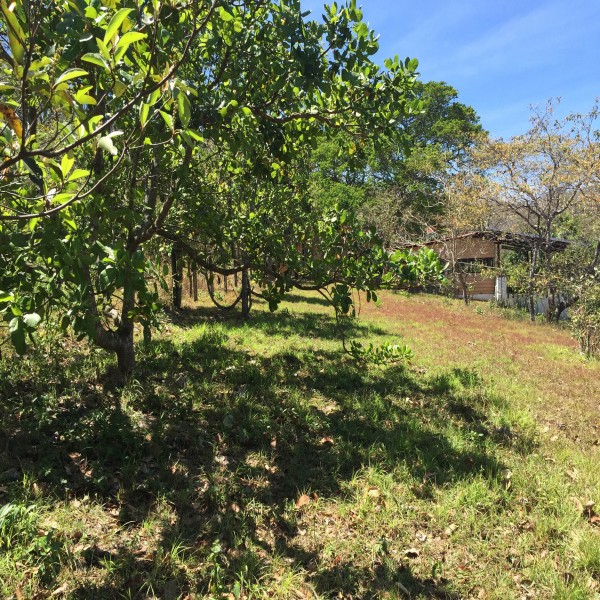 Galeria Lote 2, el Rodeo de Mora.