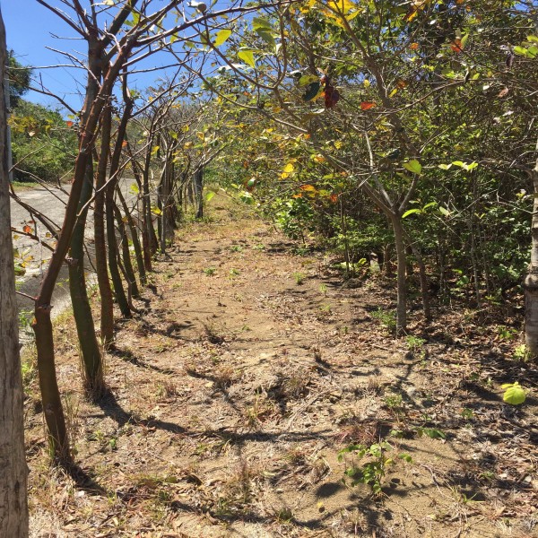 Galeria Lote 3, el Rodeo de Mora.