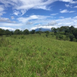 Fincas-FINCA EN CAÑAS