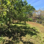 Lote 2, el Rodeo de Mora.