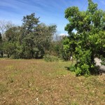 Lote 1, El Rodeo de Mora.