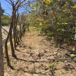 Lote 3, el Rodeo de Mora.